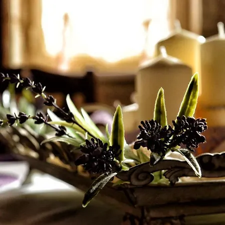 Country house Sweet *